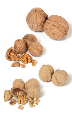 Nutritional facts on Walnuts