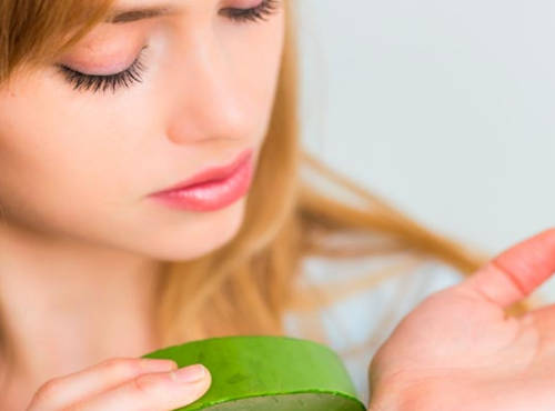 aloe vera for dandruff