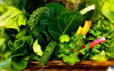 leafy vegetables